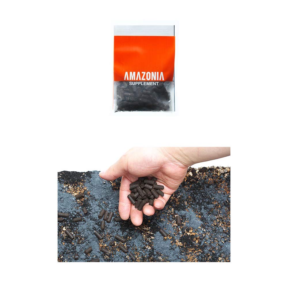 ADA Aqua Soil Ver 2 in use buffers water for balanced aquarium conditions.