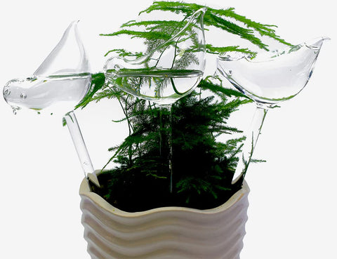 Adabocute glass watering bulbs enable vacation-friendly plant care and steady soil moisture.