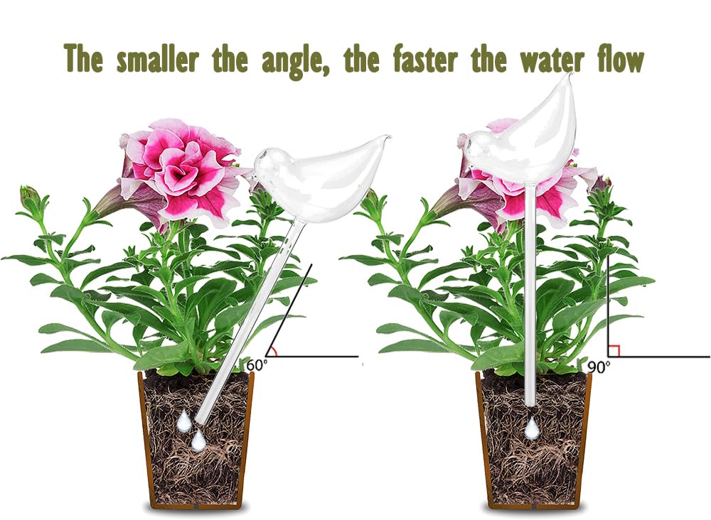 Adabocute indoor-outdoor watering globe set decorates spaces while providing gentle hydration.