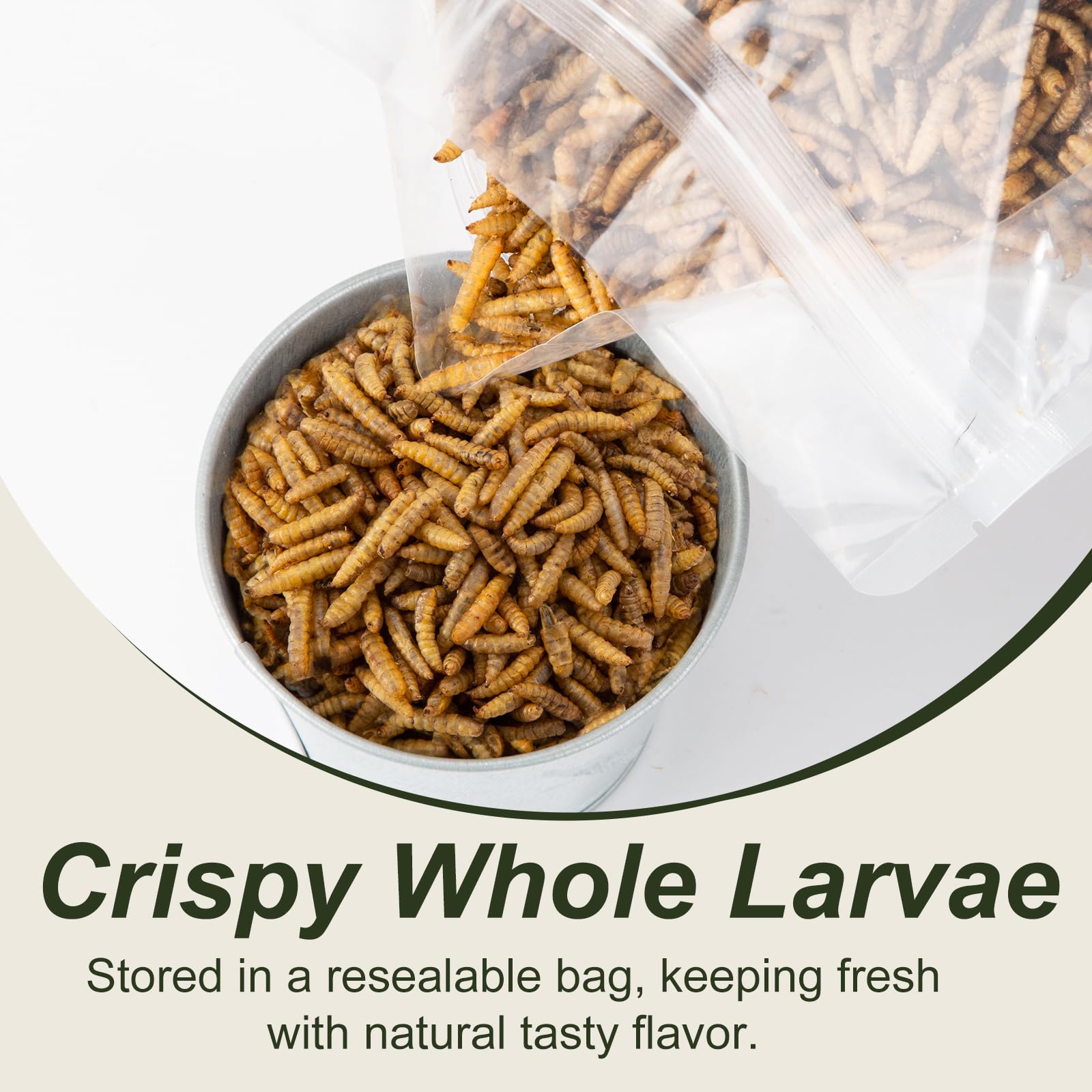 Adaman BSF larvae used as bird treat for poultry and pets.