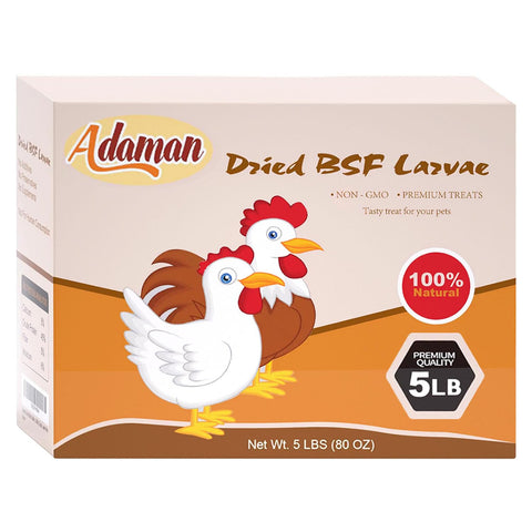 Adaman BSF larvae close-up shows protein-rich texture for poultry.