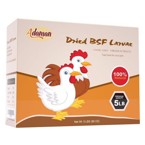 Adaman dried BSF larvae kitchen storage ready-to-use.