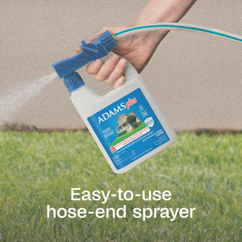 ADAMS Plus Yard Spray on a porch/patio area for outdoor defense
