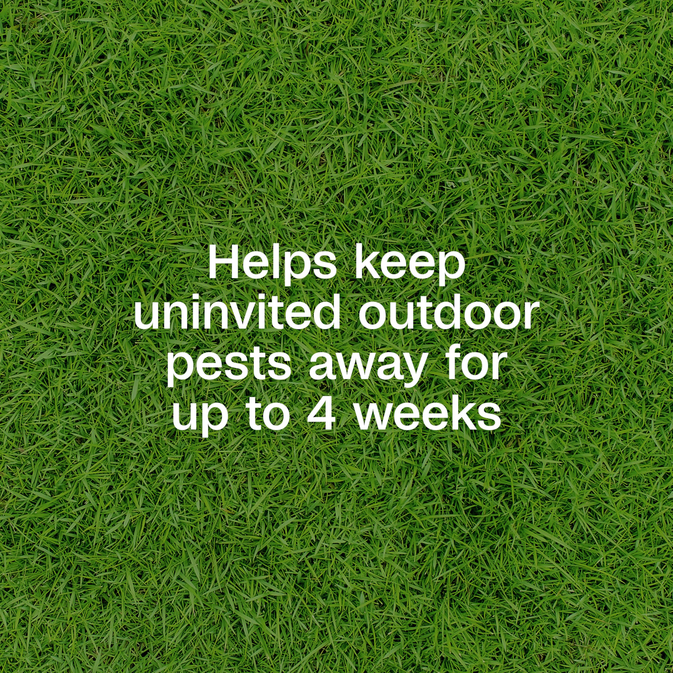 ADAMS Plus Yard Spray used on trees and shrubs for pest protection