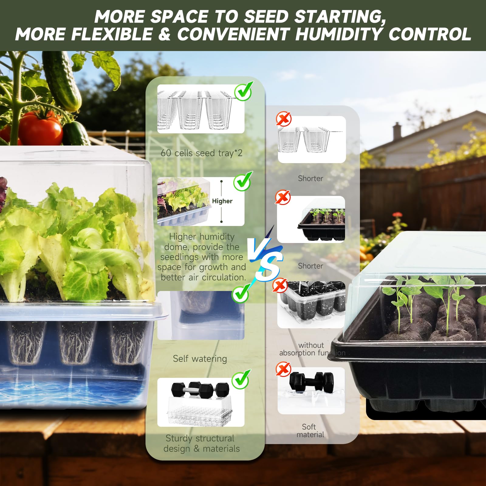 Adawook clear-base seed trays let you monitor soil and water without disturbing seedlings.