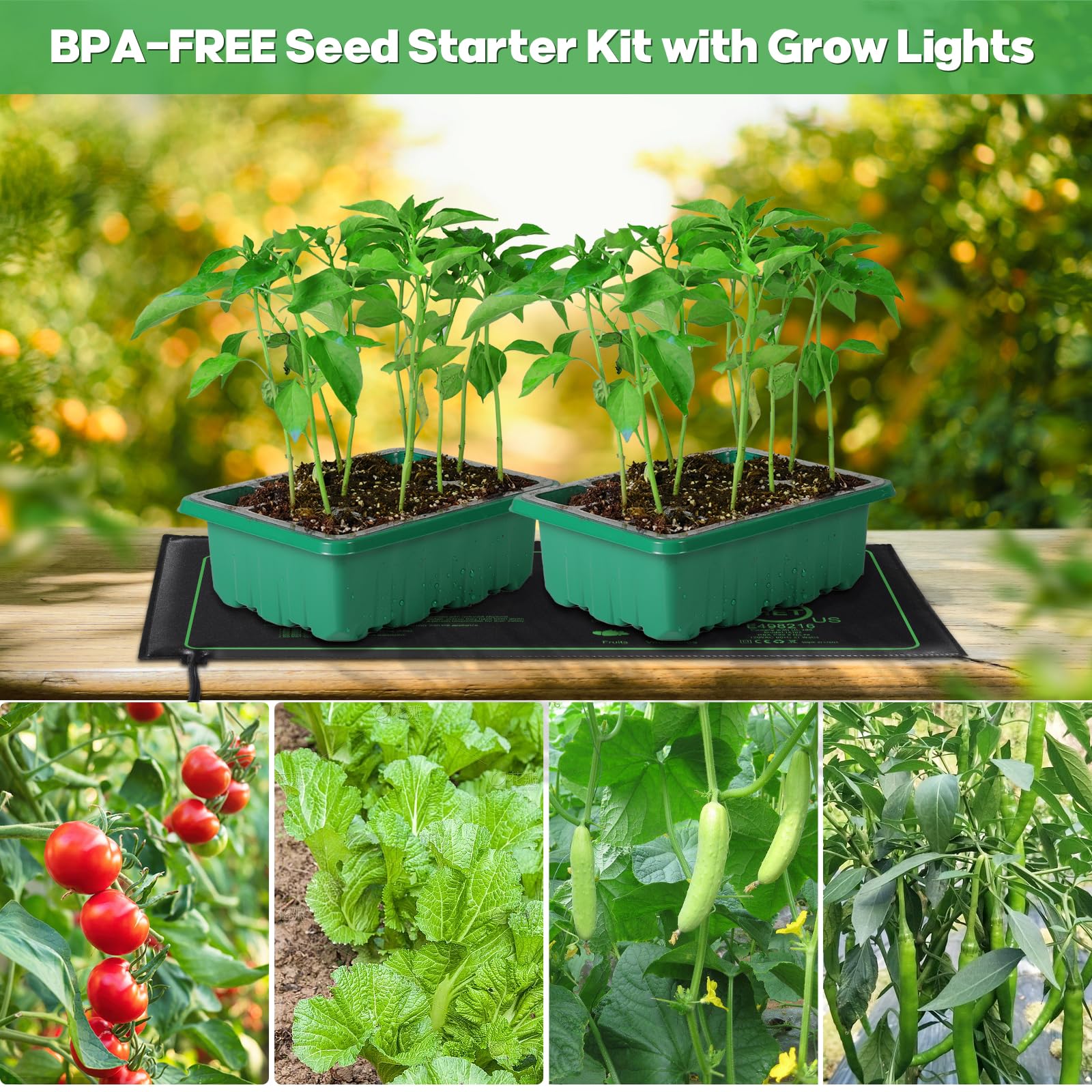 Adawook complete germination system for herbs vegetables and berries.
