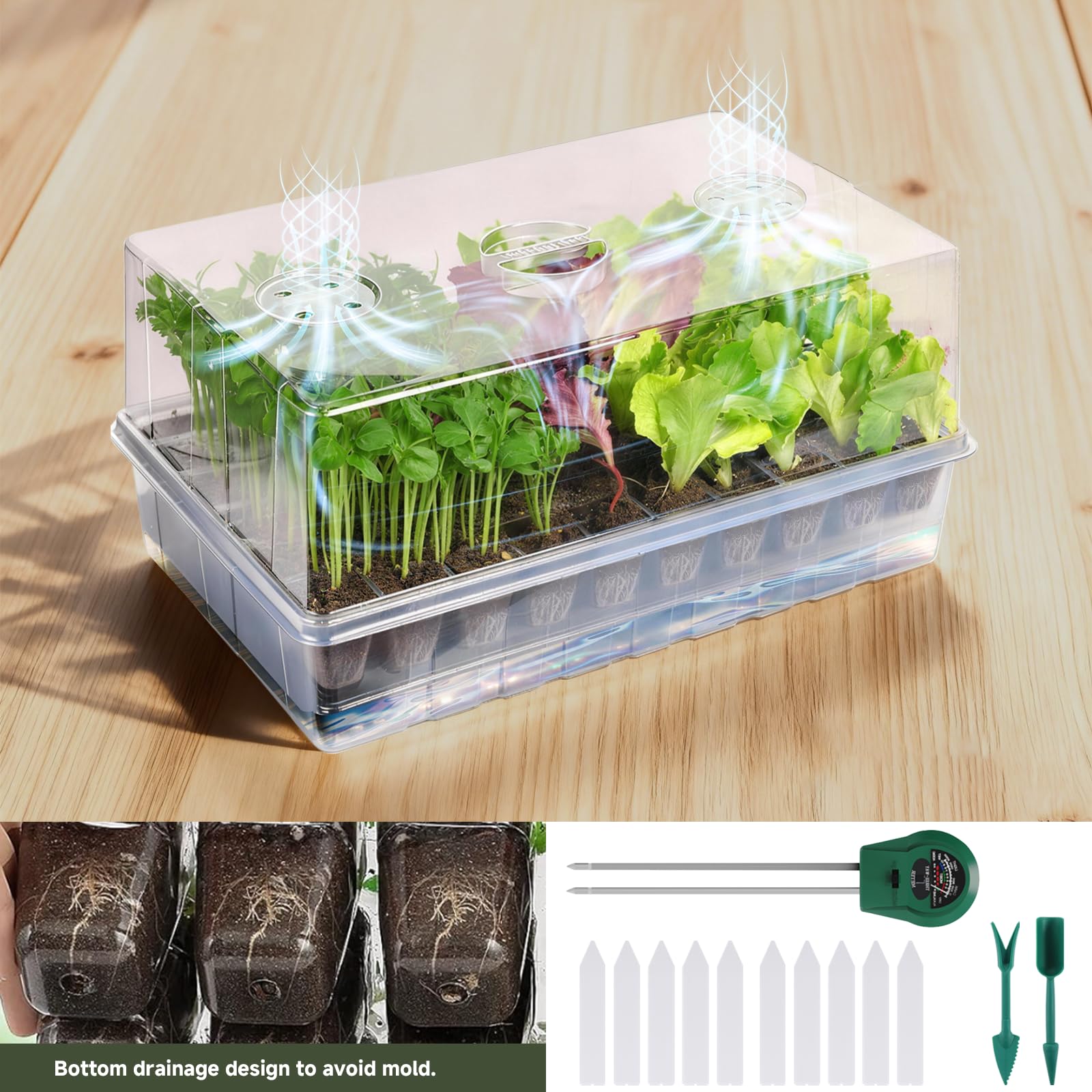Adawook complete seed-start kit is a beginner-friendly way to begin indoor germination.