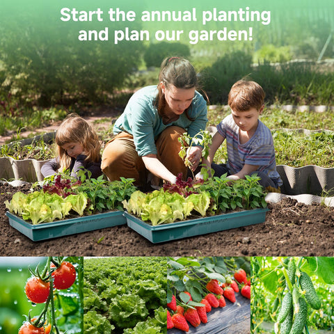 Adawook tray features drainage holes to reduce overwatering and protect seedling roots.