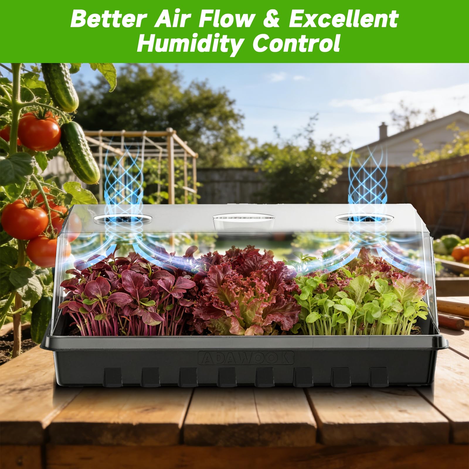 Adawook durable seed trays with reinforced design for long-lasting gardening use.