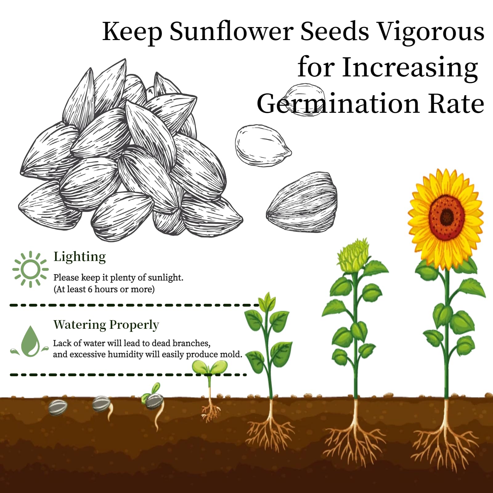Adawook flower growing kit, marigolds seeds, brightens desks with easy indoor gardening.