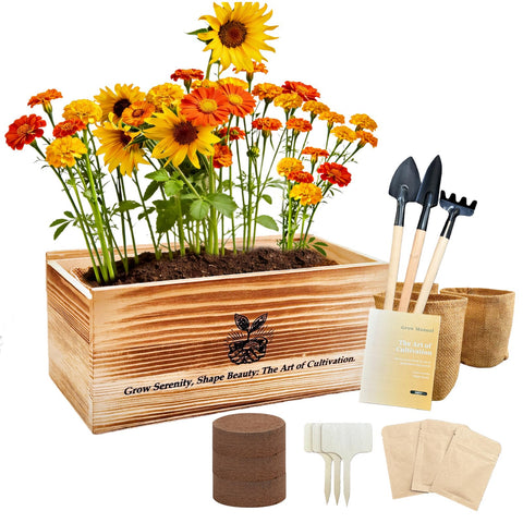 Adawook flower growing kit, sunflower seeds, ideal for beginners starting an indoor garden.
