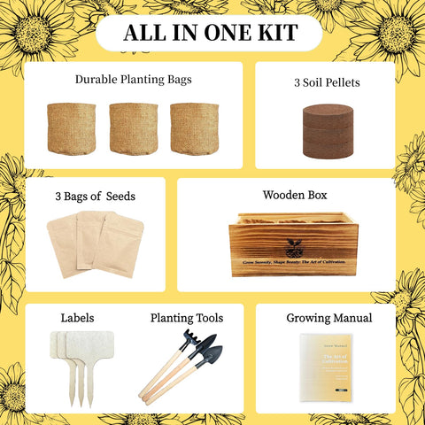 Adawook flower growing kit, zinnias seeds, creates colorful blooms on a sunny windowsill.