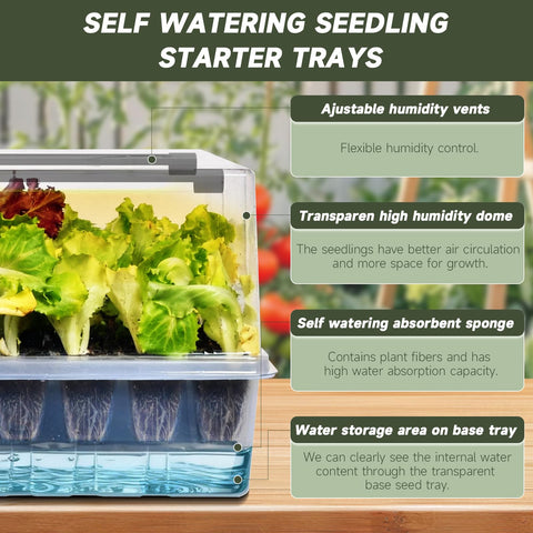Adawook full-spectrum grow lights illuminate seedlings for even growth