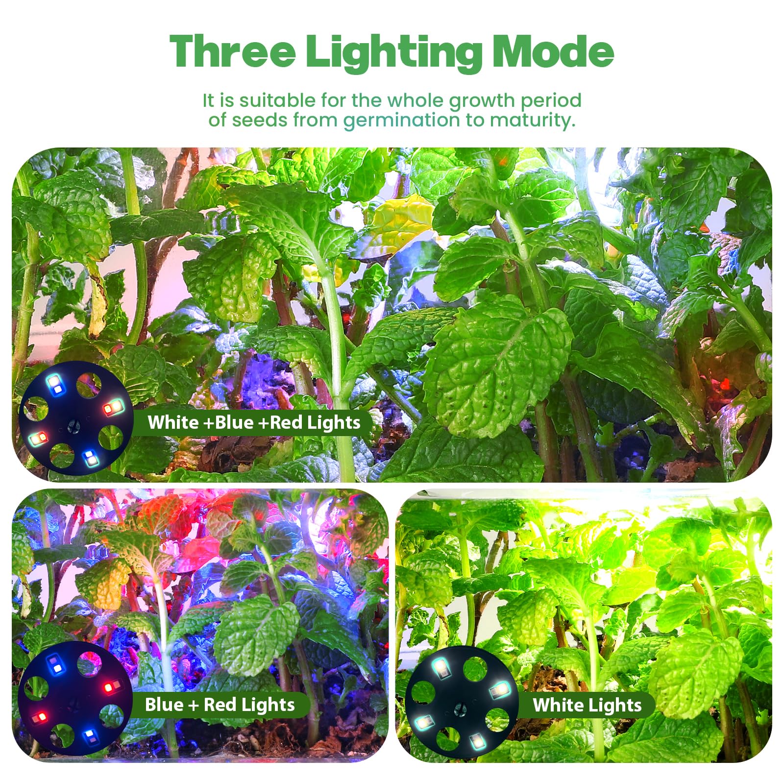 Adawook grow lights with three modes for optimal seedling development.