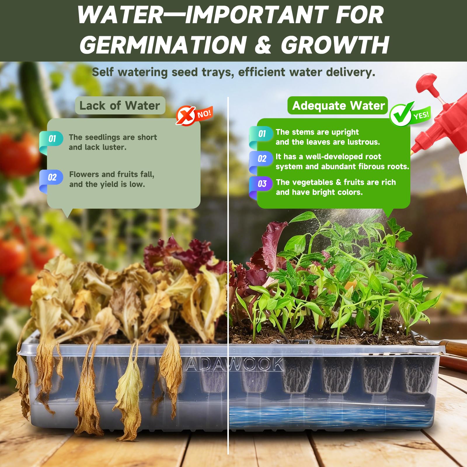 Adawook 4.73 inch humidity dome gives seedlings generous space to grow.