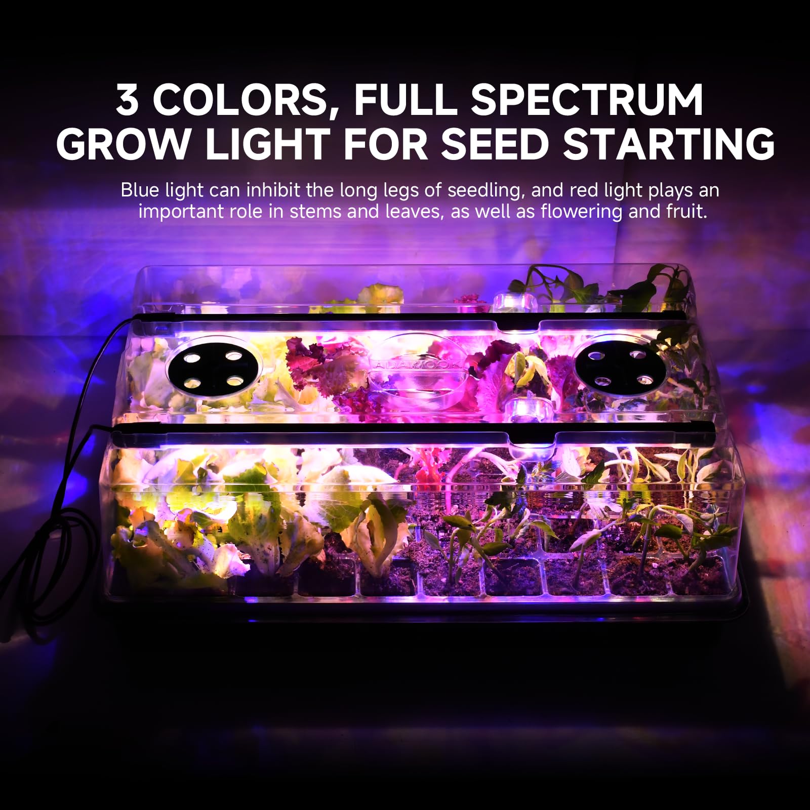 Adawook indoor gardening kit setup enables year-round seed starting