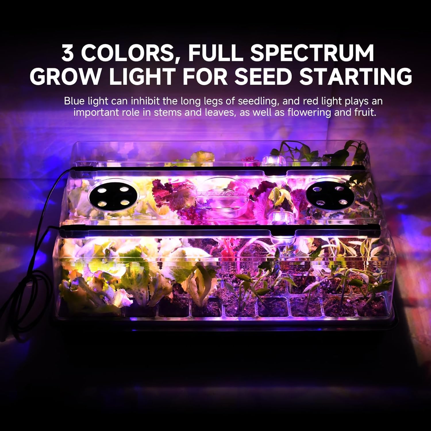 Adawook reusable seedling kit designed for durable indoor growing