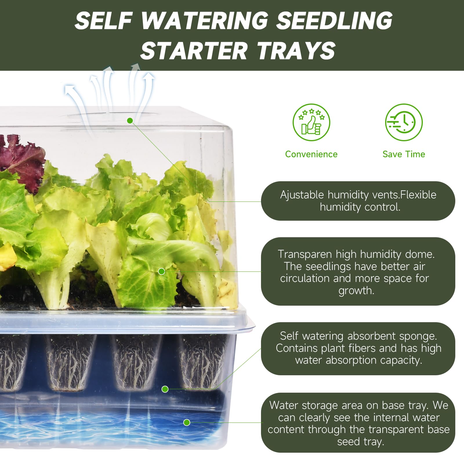Adawook seed starter kit with grow lights supports healthy seedlings from day one.