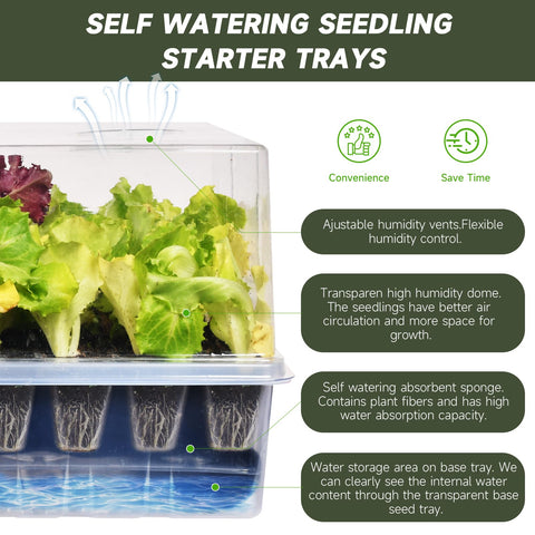 Adawook seed starter kit with grow lights supports healthy seedlings from day one.