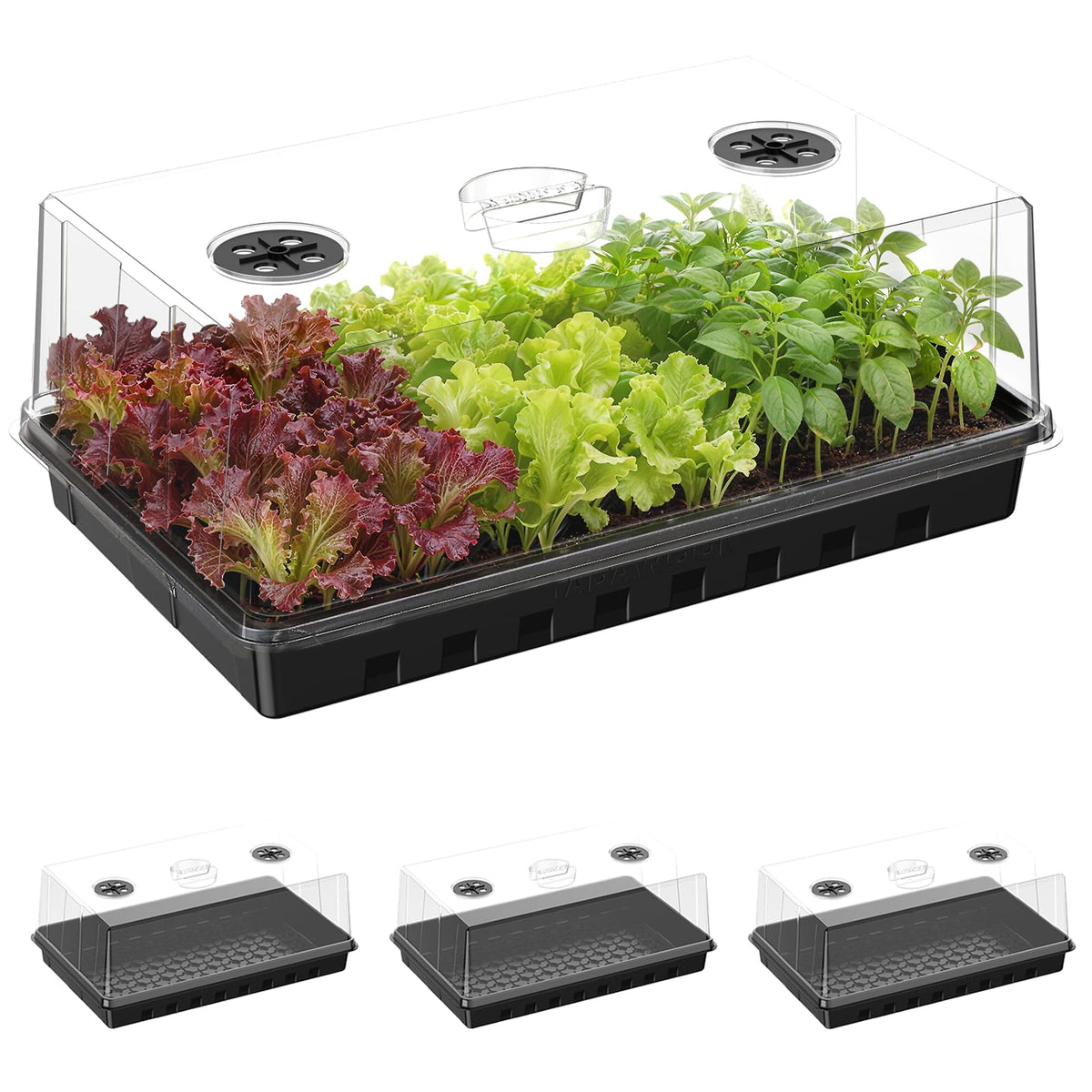 Adawook seed starter tray 3pc set for robust seedling growth and easy transplanting.
