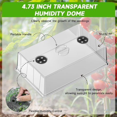 Adawook wide-growing-space tray supports strong roots and reduced tangling.