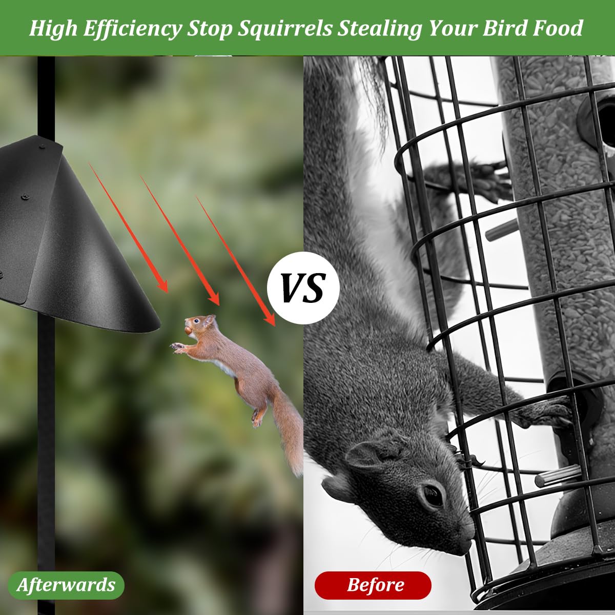 Addcean rotating baffle in action deters climbing squirrels from reaching seeds