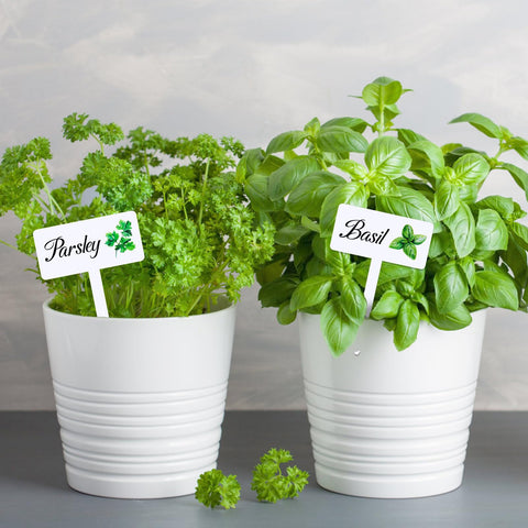 Adecortalk herb marker stakes come in 12 styles for diverse labeling.