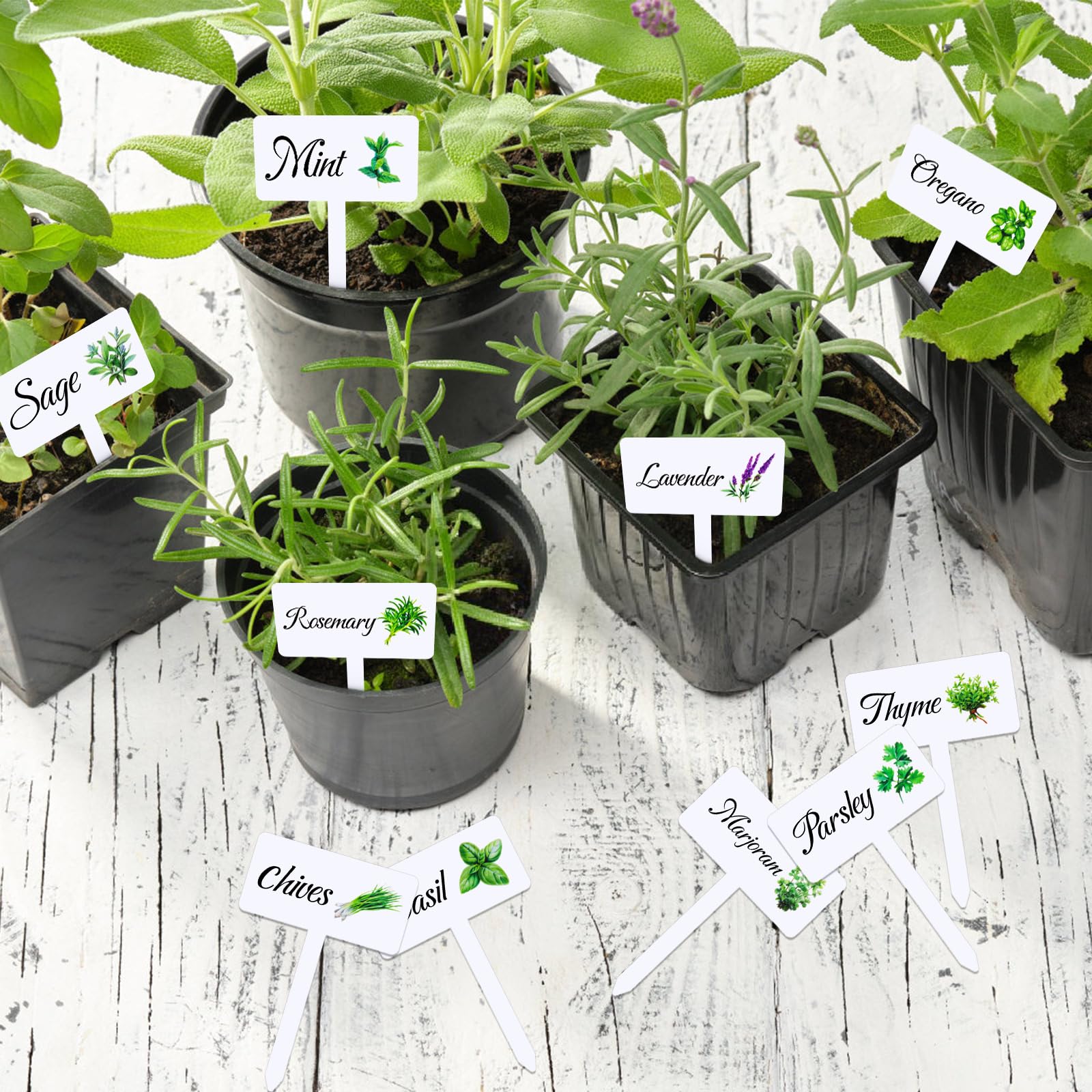 Adecortalk outdoor garden labels provide reusable labeling across seasons.