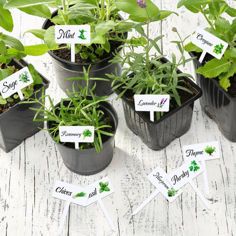 Adecortalk outdoor garden labels provide reusable labeling across seasons.