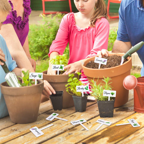 Adecortalk parsley and cilantro labels simplify herb organization.