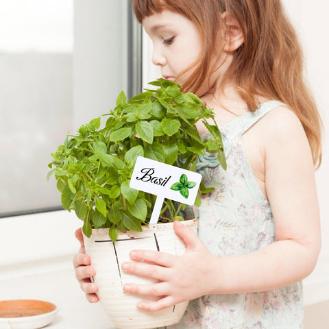Adecortalk rosemary, sage, thyme labels for efficient garden management.
