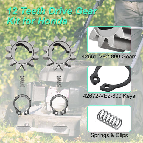 Adefol 42668-VE2-800 springs support resilient compression and engagement.