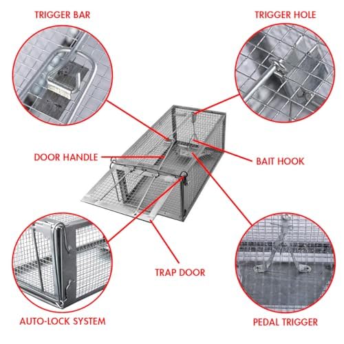 ADERFIA catch-and-release-trap open-door demonstration for humane release.
