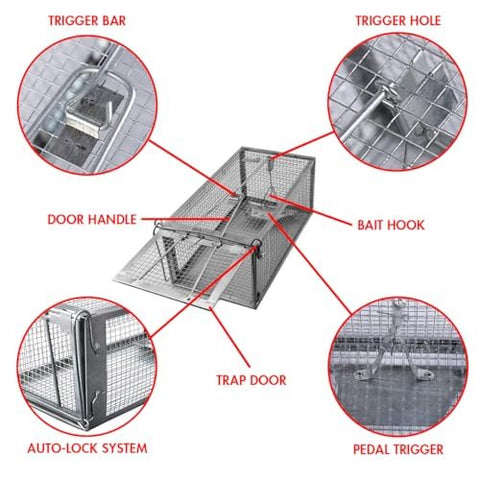 ADERFIA catch-and-release-trap open-door demonstration for humane release.
