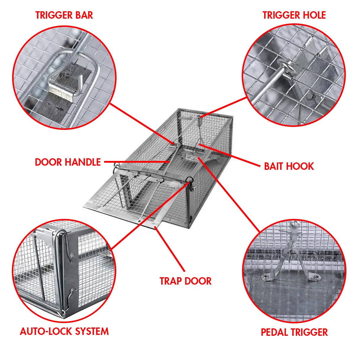 ADERFIA Chipmunk Trap 2 Pack durable construction for year-round use.