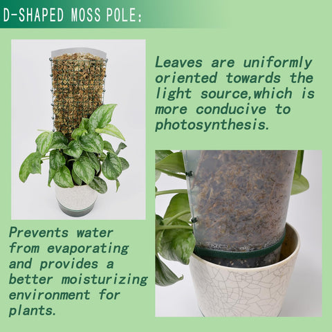 ADGYULB plant tape for tidy moss pole setup