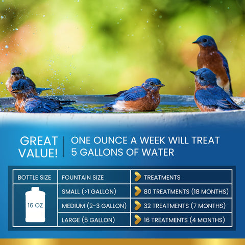 ADIOS! Bird Bath Cleaner enzyme-based formula for safe, eco-friendly cleaning.