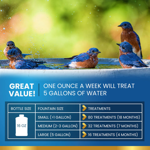 ADIOS! Bird Bath Cleaner outdoor-fountain-scene promotes a tidy, inviting water feature.