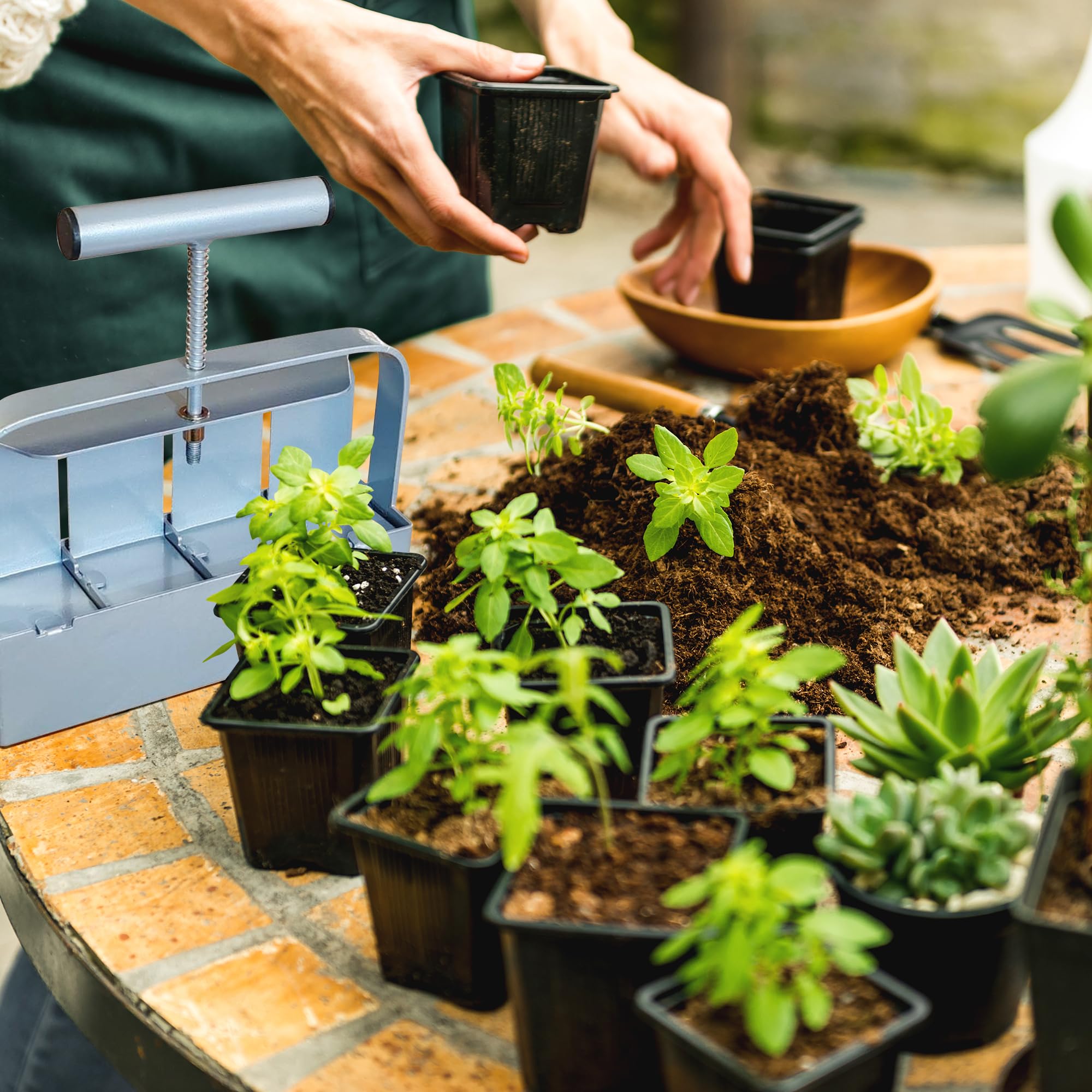 Adnee compatible seed pins fit many long-handle soil blockers.