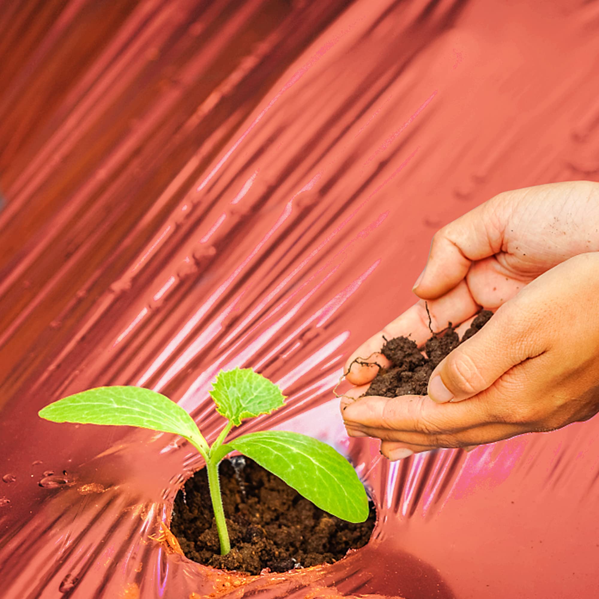 Adnee mulch film roll unfolds easily for quick setup