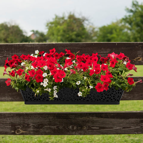Adnee flower basket liner adds a polished look while protecting plants in patios.