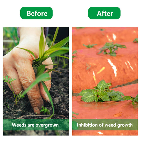 Adnee mulch film laid along a plant row for neat beds