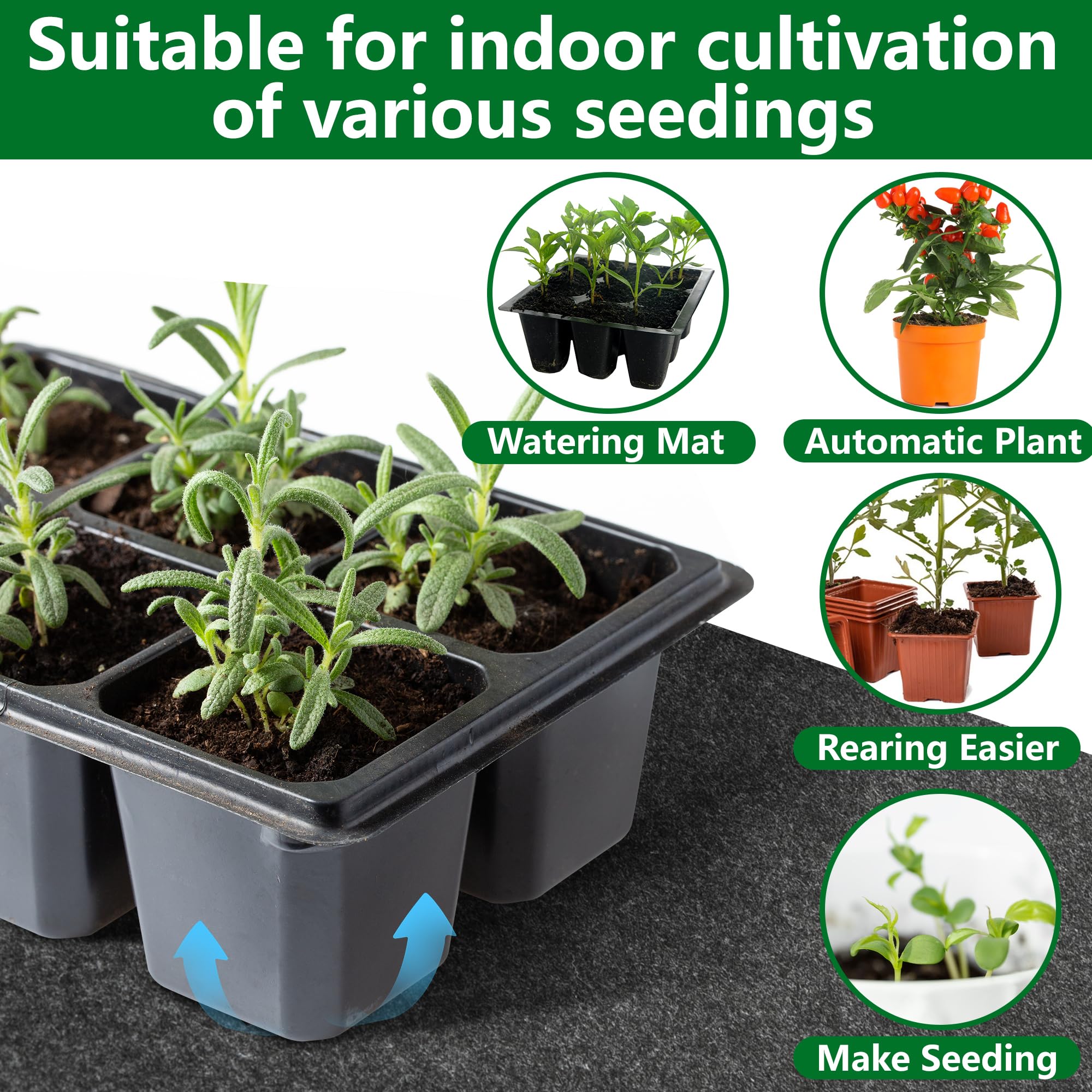 Adnee potted plants supported by capillary mat for consistent soil moisture.