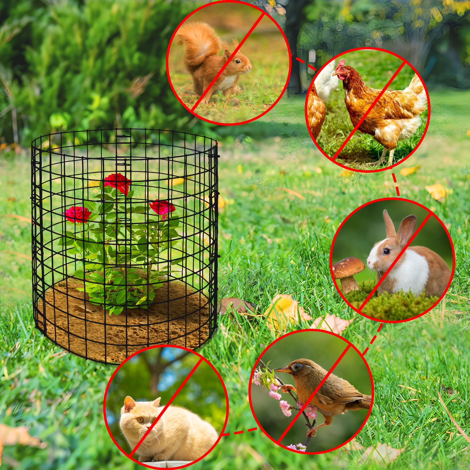 Adnee breathable mesh protects roses and lilies while promoting air flow.