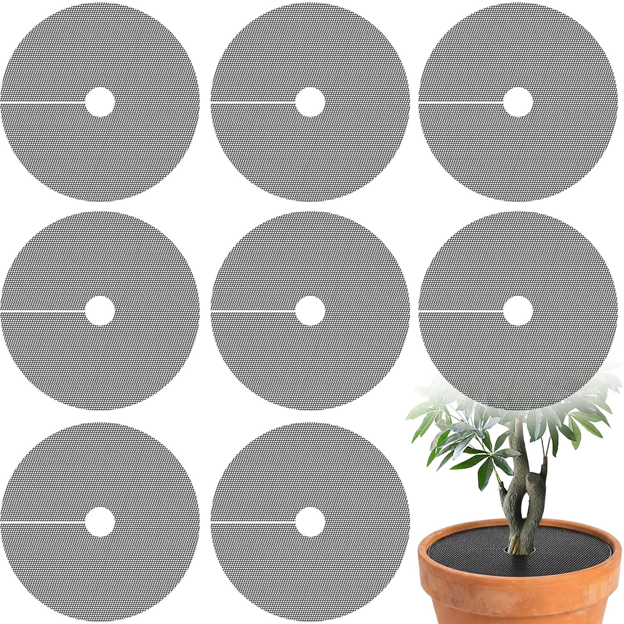 Adnee round plant grid guarding a pot from pets, ideal for indoor use.