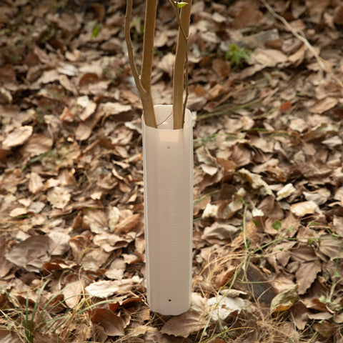 Adnee wide-use tree bark protector for garden saplings and small trees