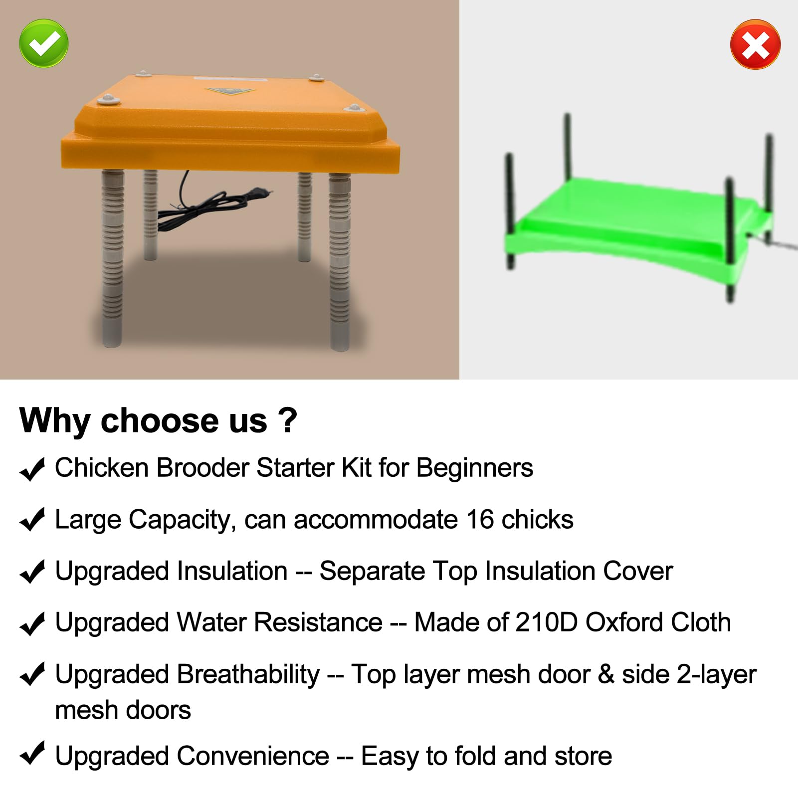 Brooder perches for up to 17 chicks with spacious interior
