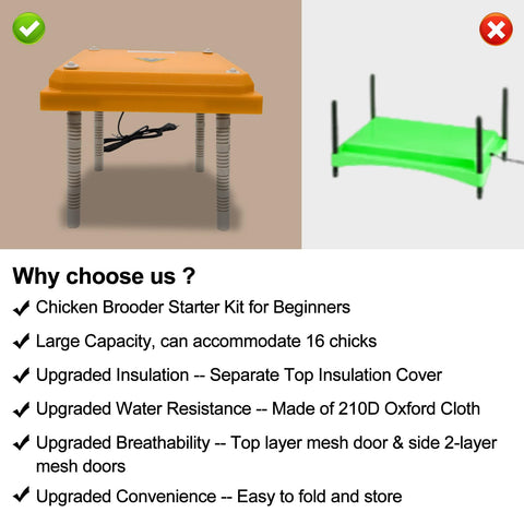 Brooder perches for up to 17 chicks with spacious interior