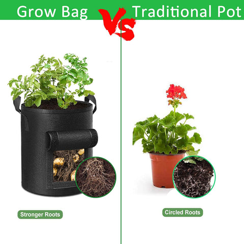 Potatoes growing in ADORMA bags in a garden bed