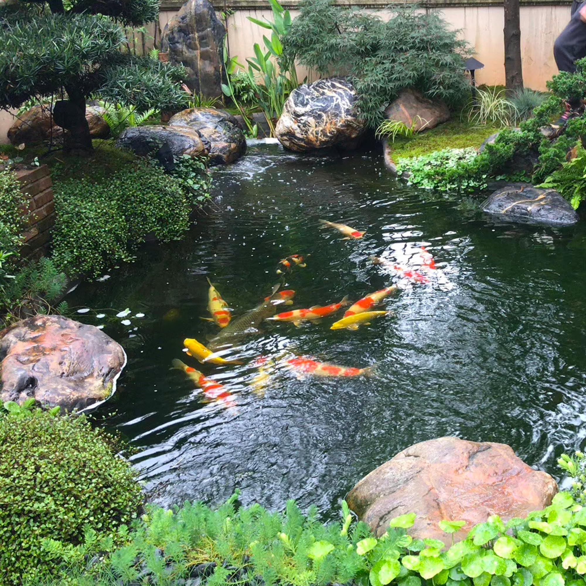 Adroiteet HDPE pond liner for outdoor ponds provides long-lasting waterproofing and puncture resistance.